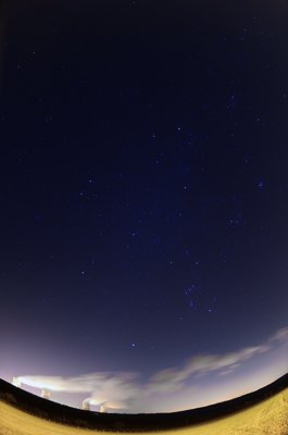 24  A single shot_5398914023_l.jpg